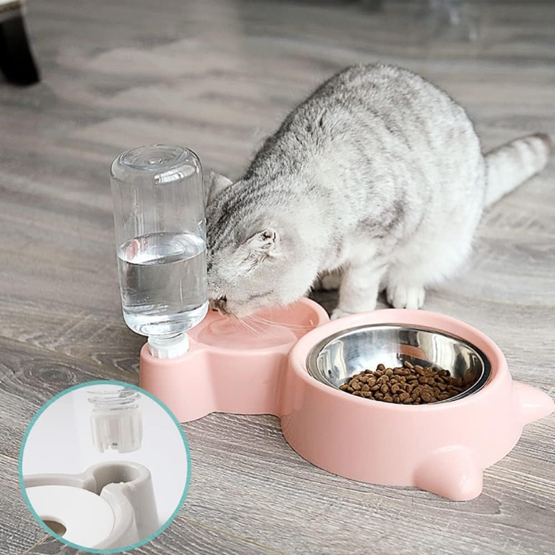 Dozownik wody dla kotów i psów – Portion Control Container recenzja i cena