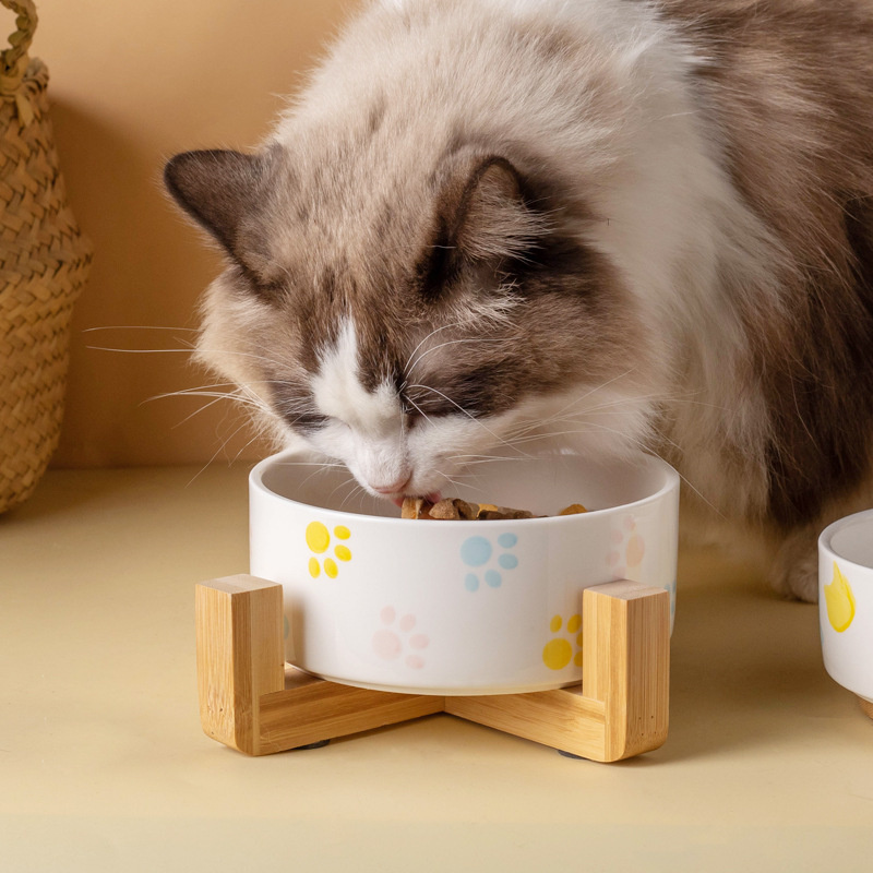 Ceramiczna miska dla psa z dre – Food Storage Safety recenzja i cena
