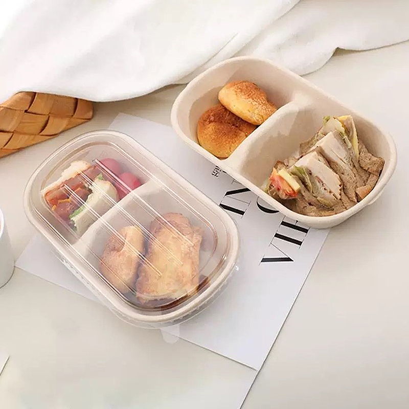 10/50 SZT. Jednorazowe pudełka – Food Storage Safety recenzja i cena