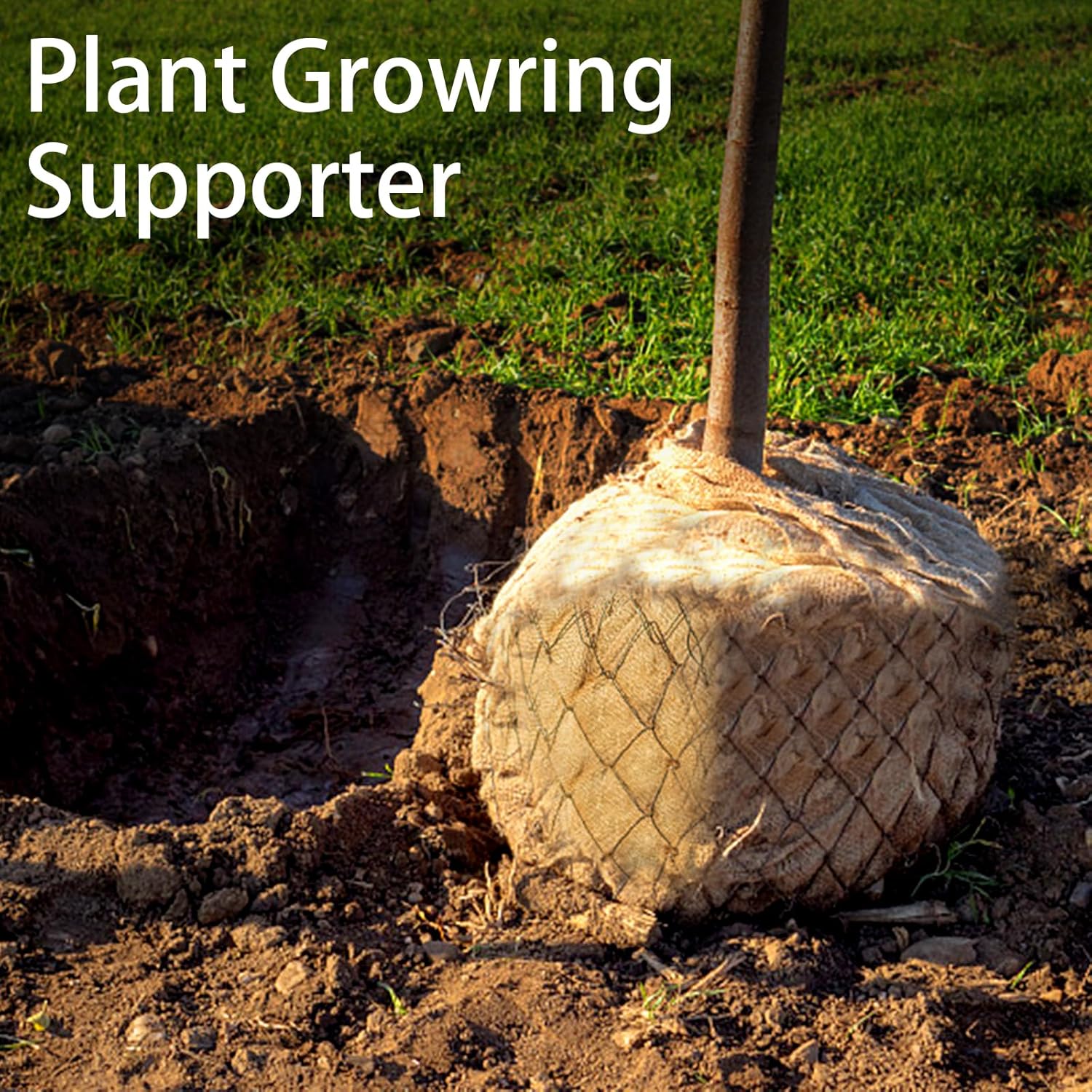 1 opakowanie Worki na ziemniak – Food Storage Roots recenzja i cena